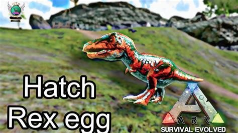 How to hatch rex egg ark mobile. Things To Know About How to hatch rex egg ark mobile. 